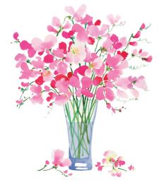 1372 Sweet Peas